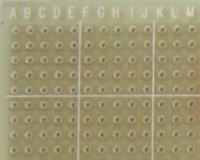 ガラスエポキシ ユニバーサル基板 UKF0G091152CL 91×152mm　片面